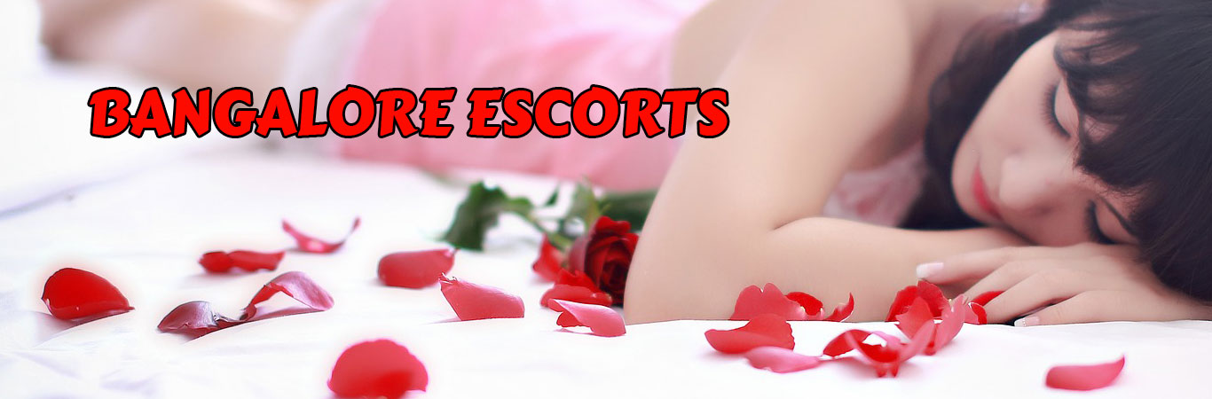Bangalore Escorts Service FAQ Escorts in Bangalore