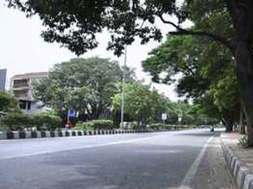 Adugodi Escorts Service