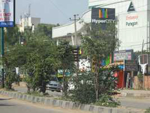 Brookefield Escorts Service